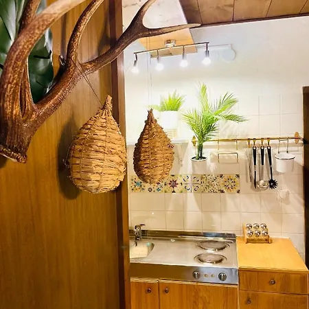 Goldspecht - Boho Apartment