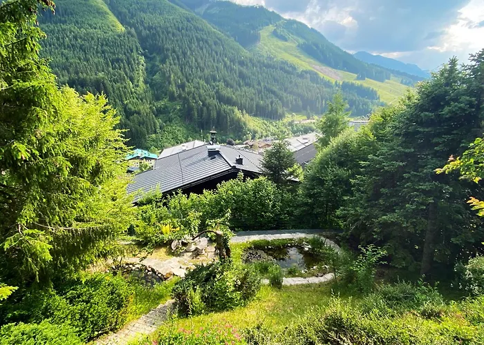 Goldspecht - Boho Saalbach-Hinterglemm