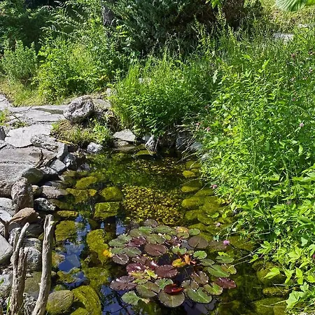 Lägenhet Goldspecht - Boho *